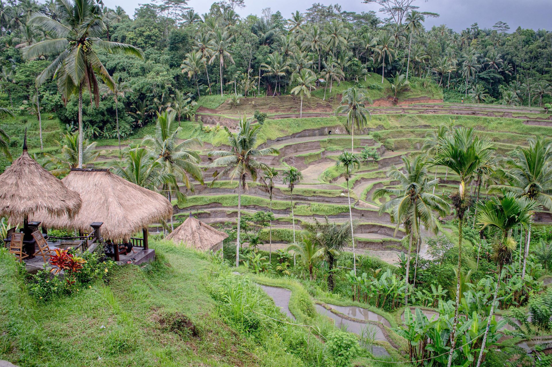 Tegallalang Bali